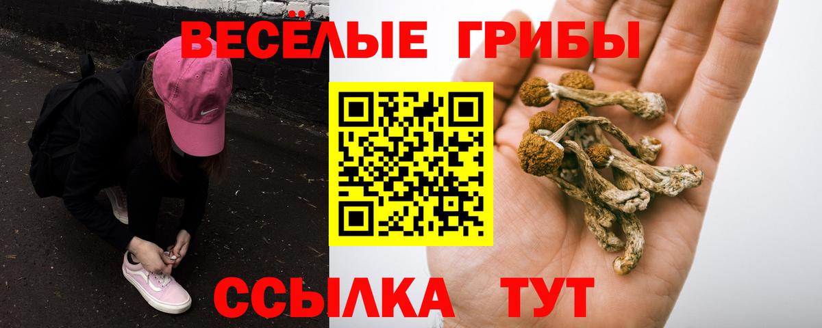 Галлюциногенные грибы Magic Shrooms Белореченск